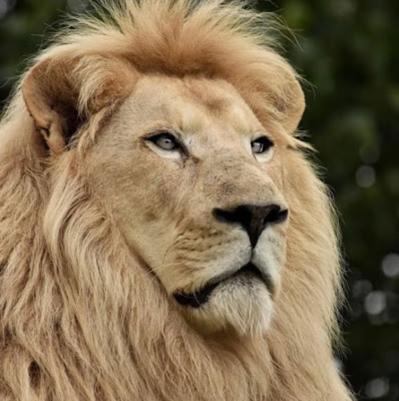 Meet your Posher, Tanya - Picture 1 of 1